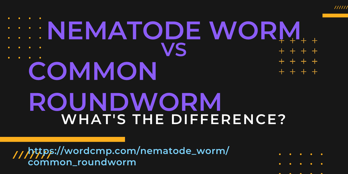 Difference between nematode worm and common roundworm