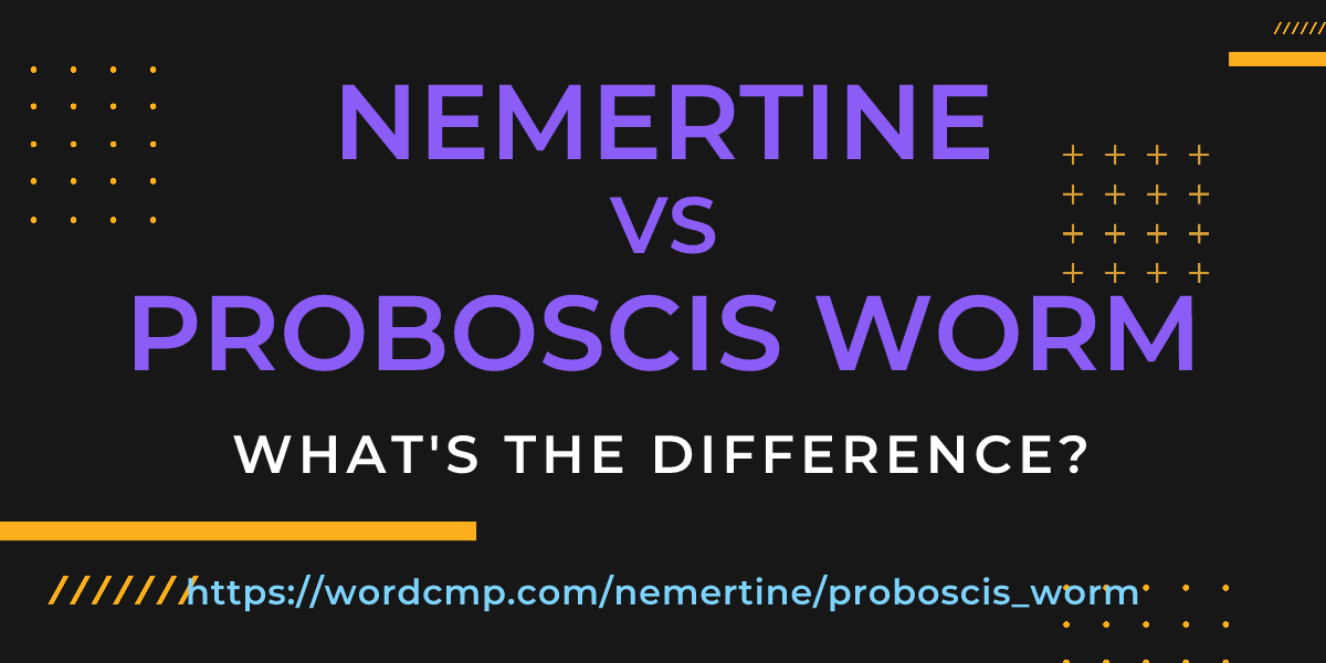 Difference between nemertine and proboscis worm