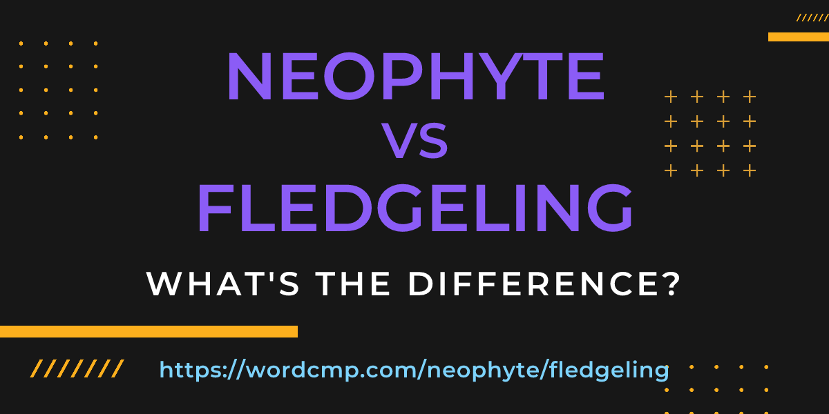Difference between neophyte and fledgeling