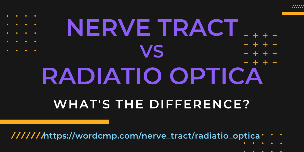 Difference between nerve tract and radiatio optica