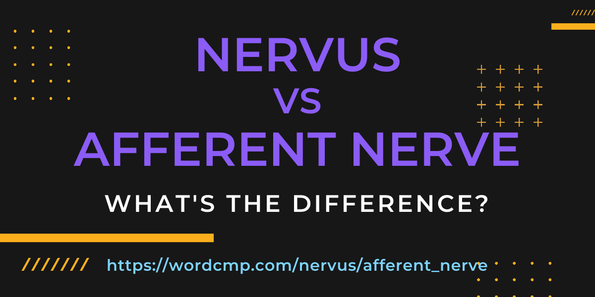 Difference between nervus and afferent nerve