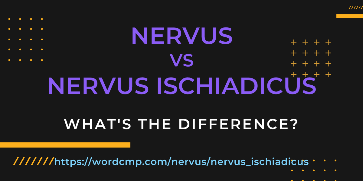 Difference between nervus and nervus ischiadicus