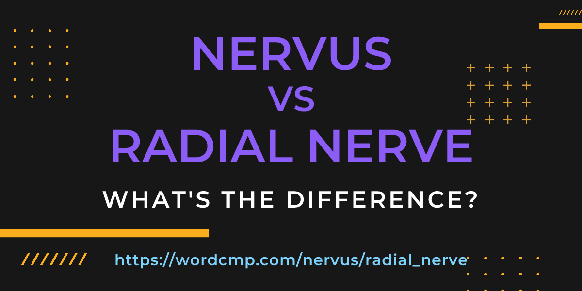 Difference between nervus and radial nerve