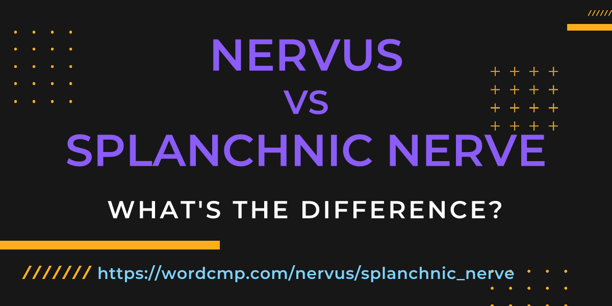 Difference between nervus and splanchnic nerve