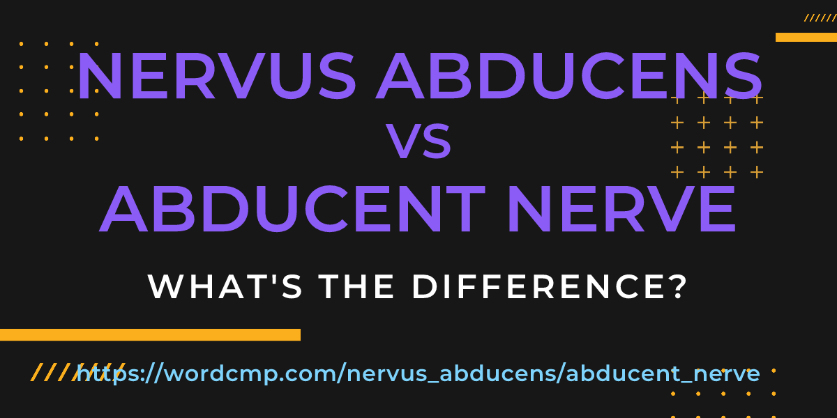 Difference between nervus abducens and abducent nerve