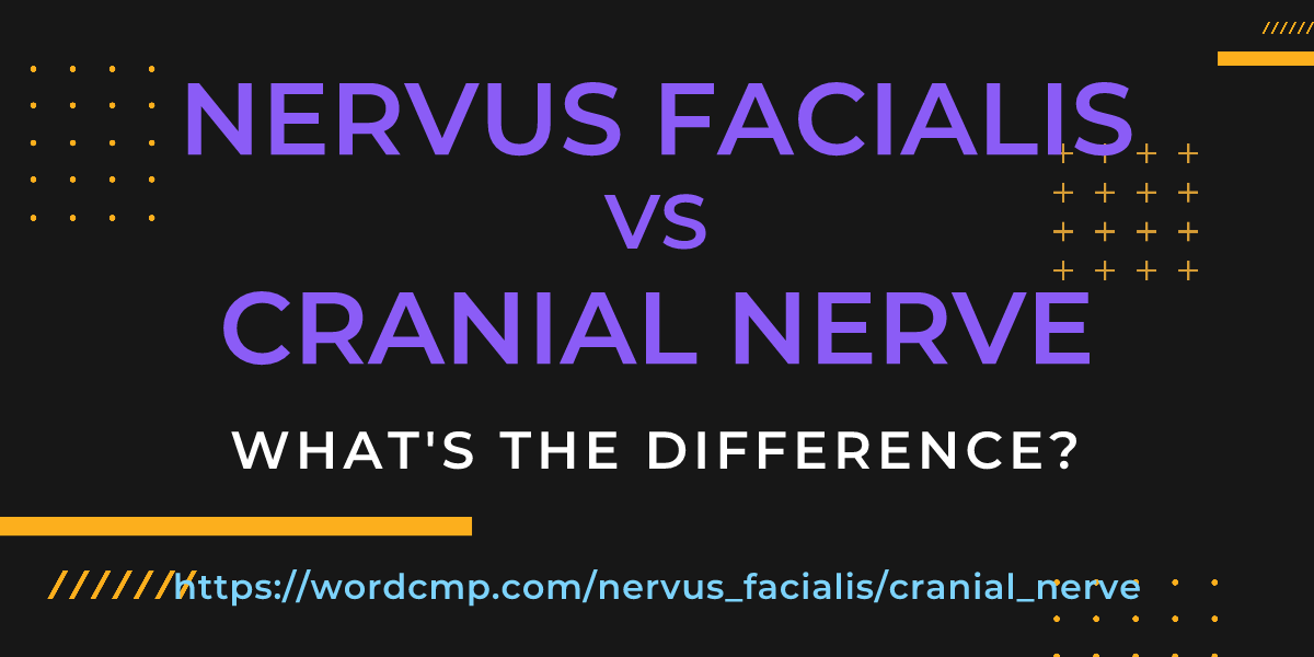 Difference between nervus facialis and cranial nerve