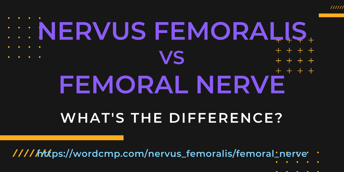Difference between nervus femoralis and femoral nerve