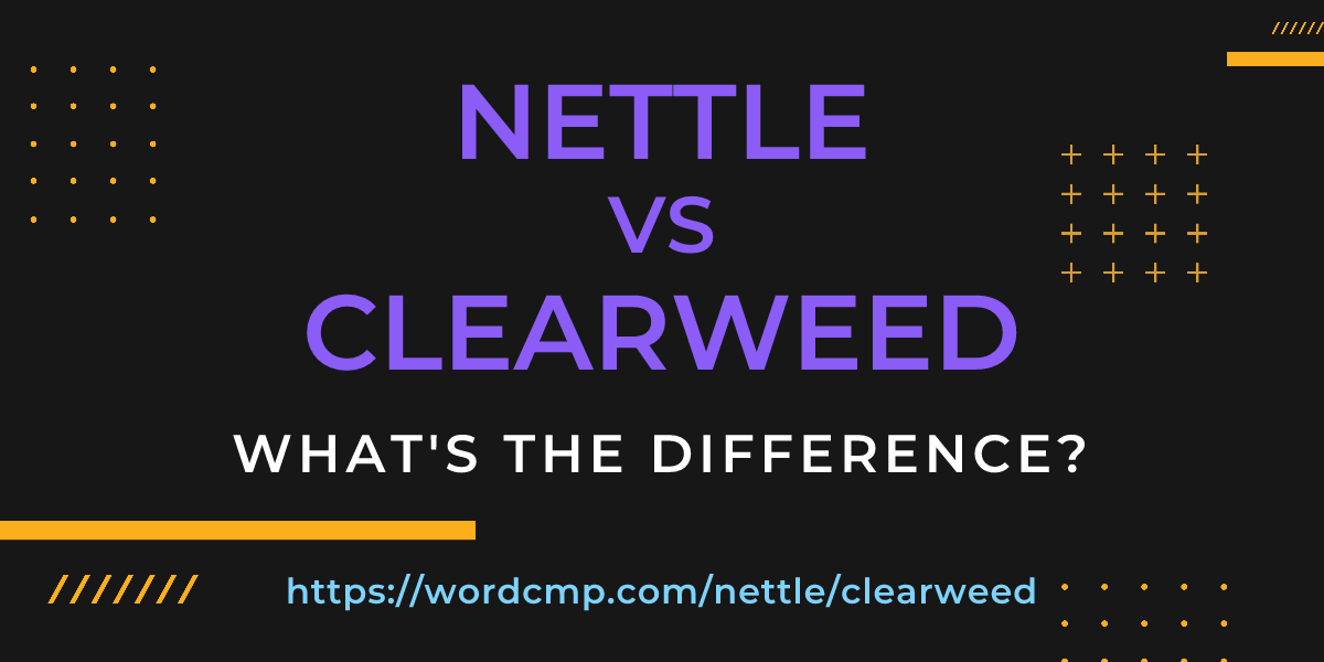 Difference between nettle and clearweed