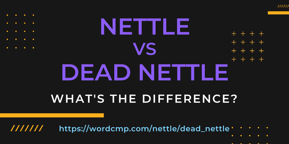 Difference between nettle and dead nettle