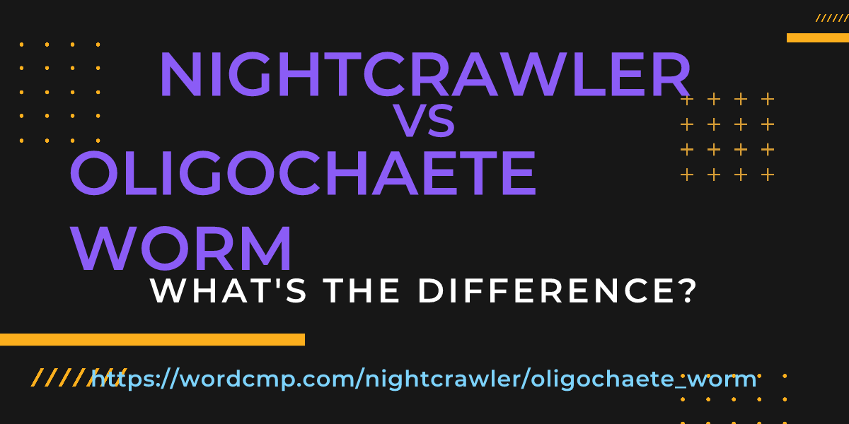 Difference between nightcrawler and oligochaete worm