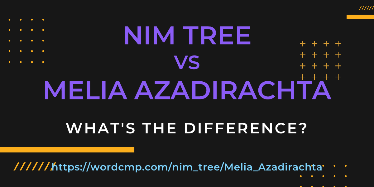 Difference between nim tree and Melia Azadirachta