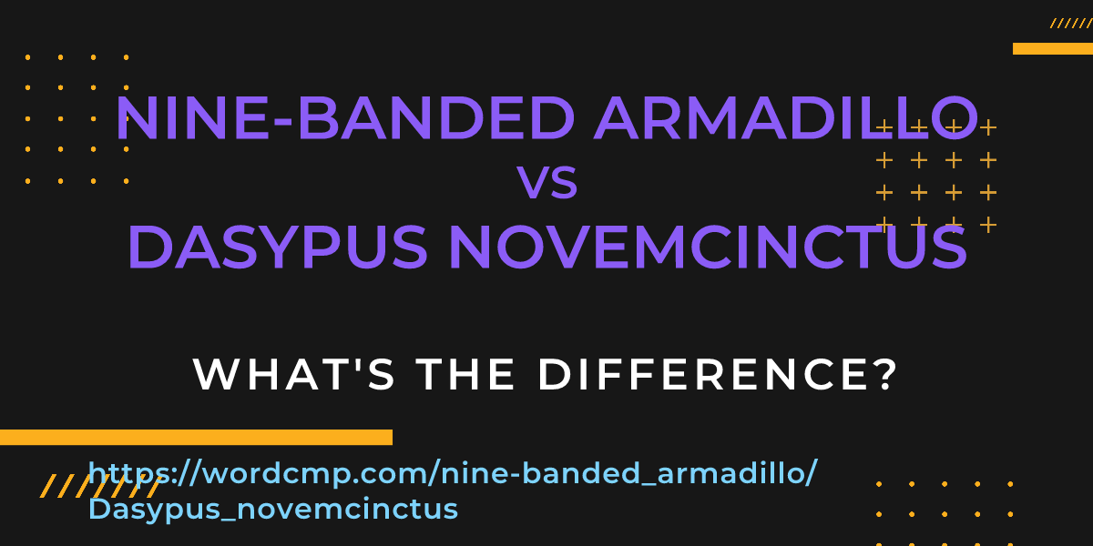 Difference between nine-banded armadillo and Dasypus novemcinctus