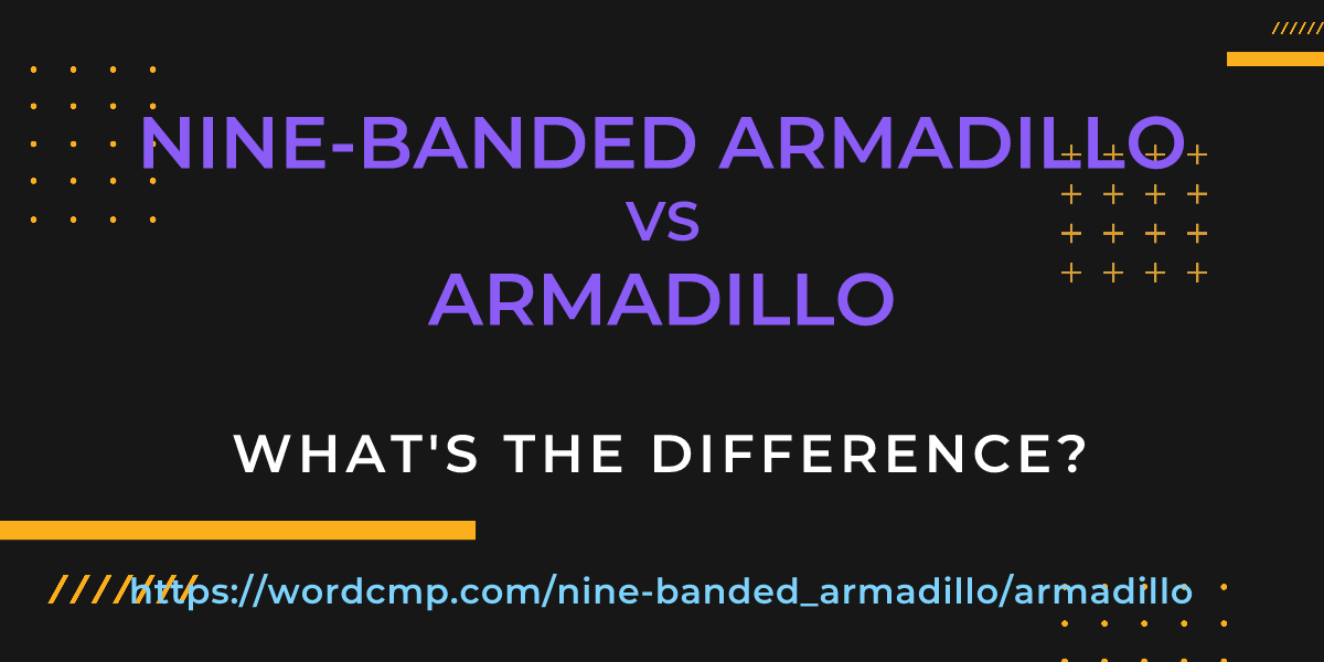 Difference between nine-banded armadillo and armadillo