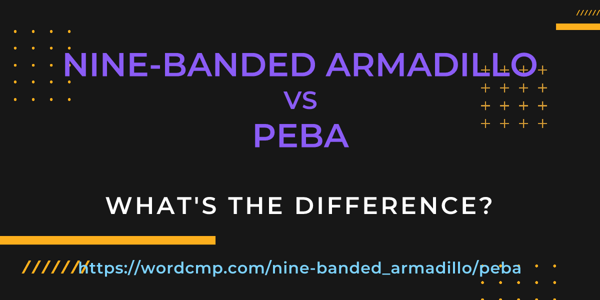 Difference between nine-banded armadillo and peba