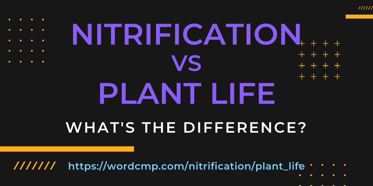 Difference between nitrification and plant life