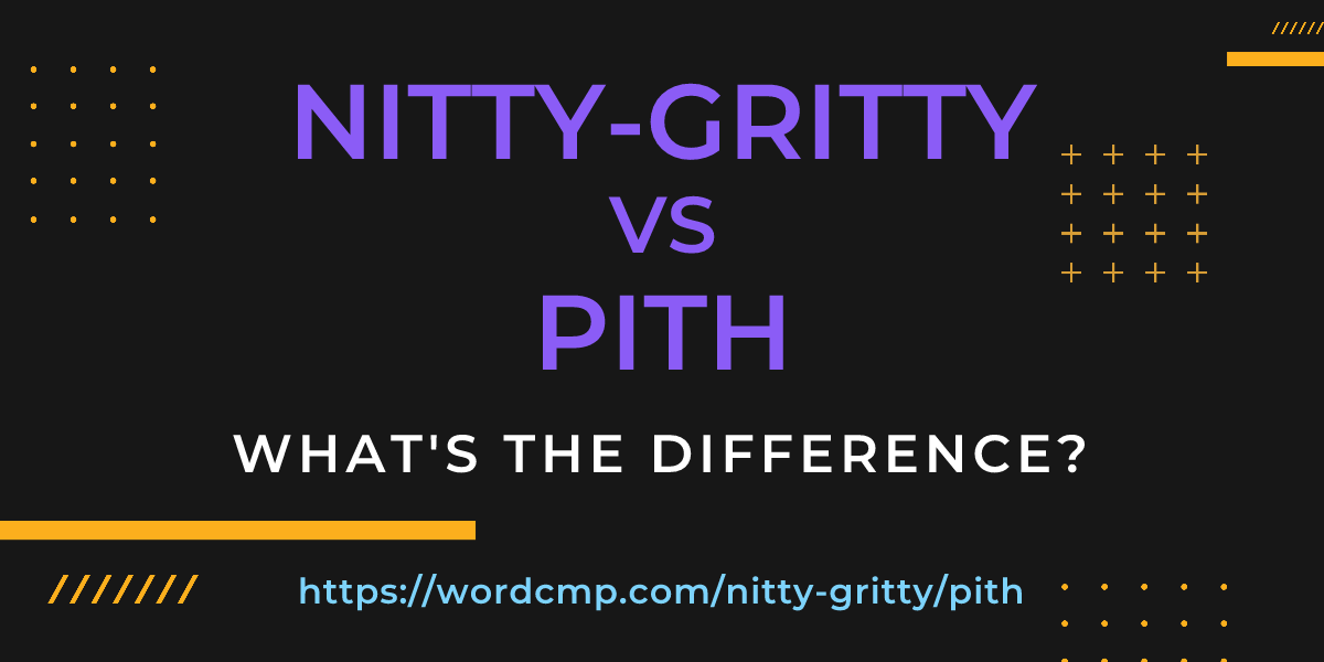 Difference between nitty-gritty and pith