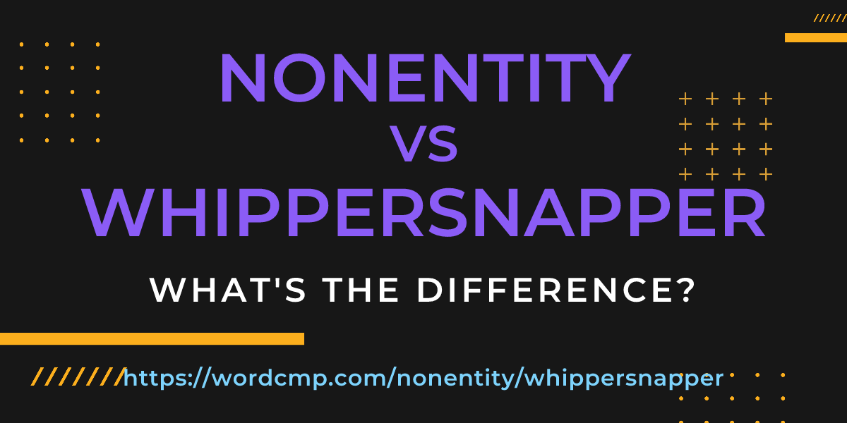 Difference between nonentity and whippersnapper