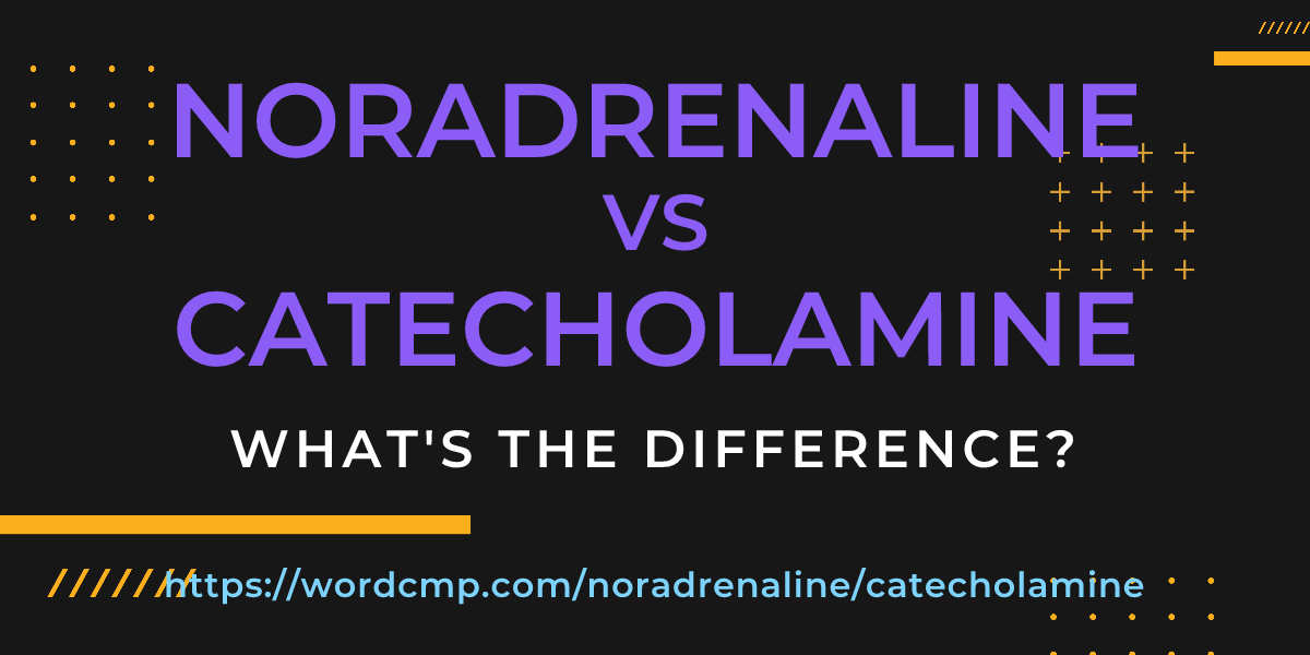 Difference between noradrenaline and catecholamine
