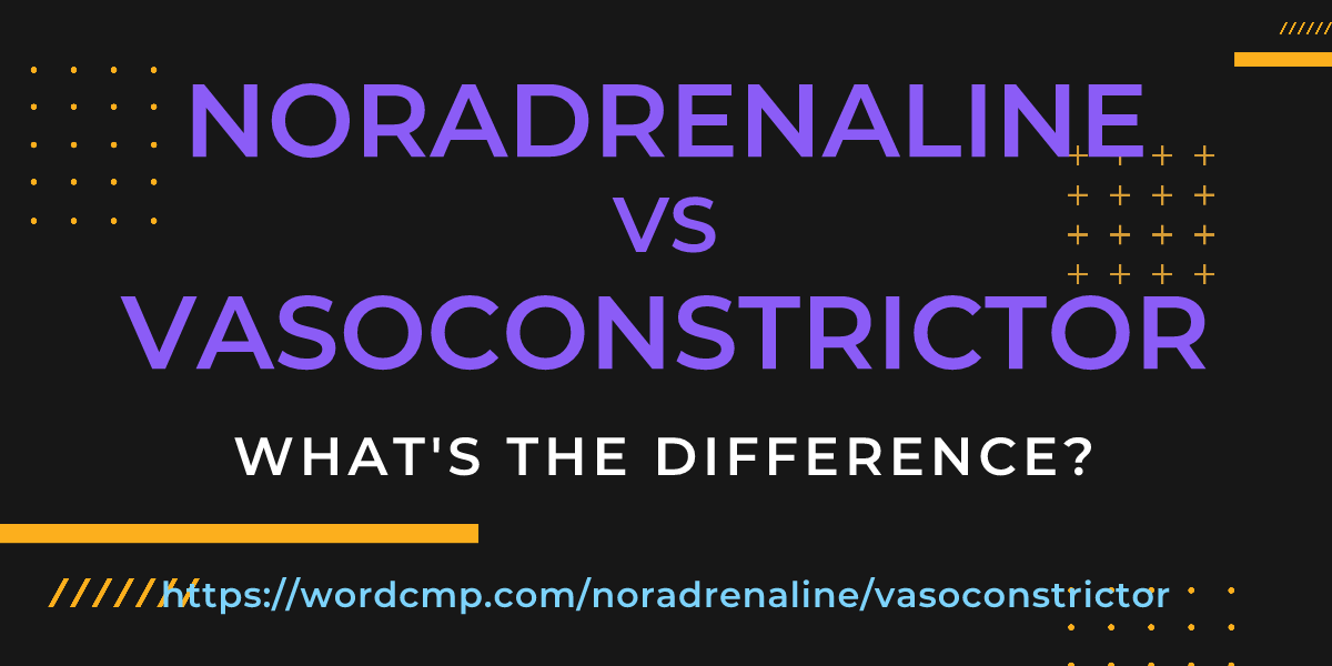 Difference between noradrenaline and vasoconstrictor