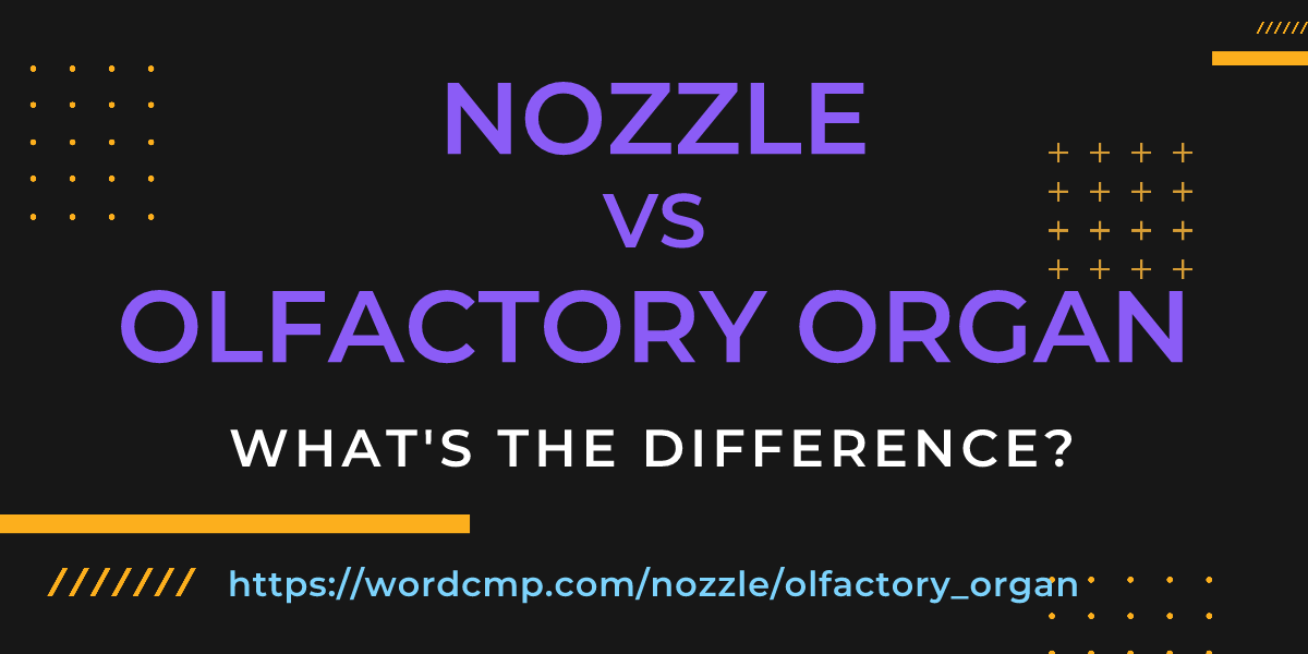 Difference between nozzle and olfactory organ