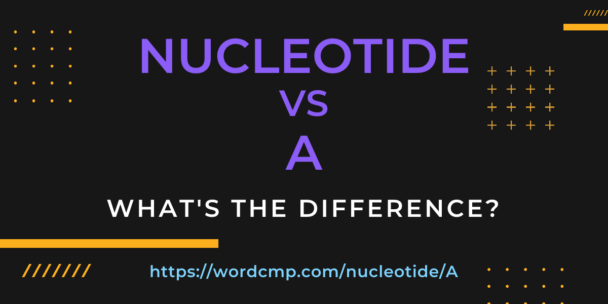 Difference between nucleotide and A