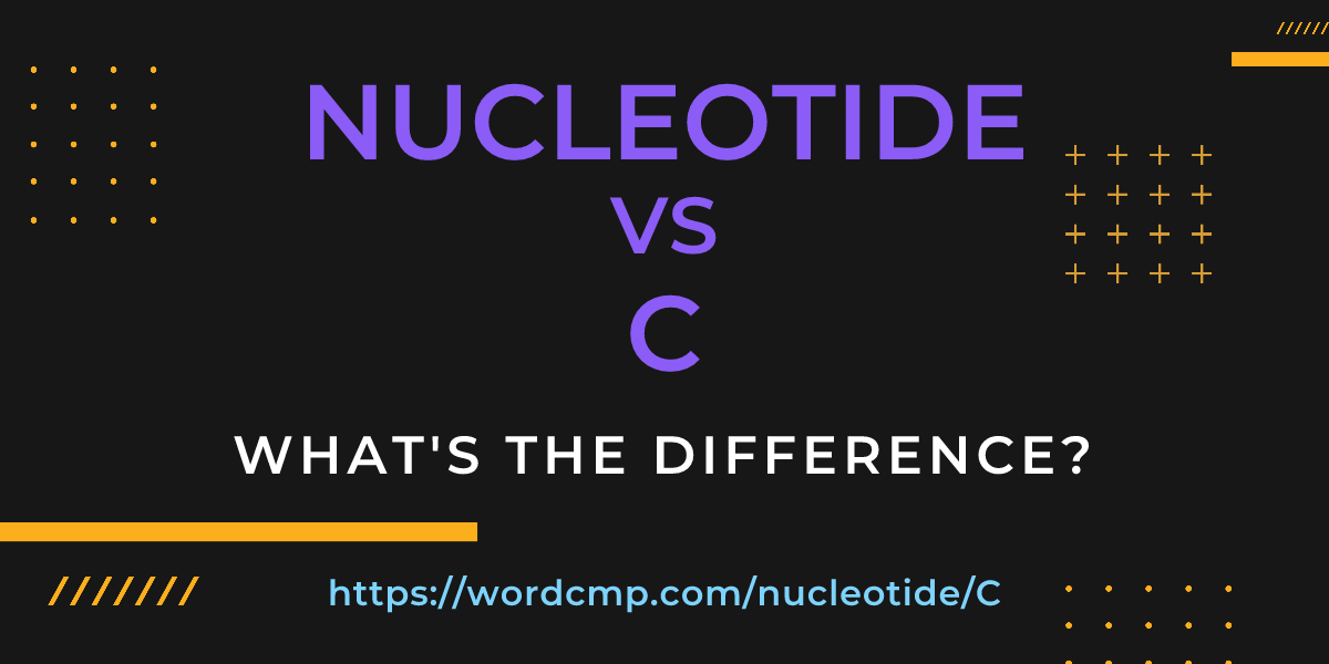 Difference between nucleotide and C