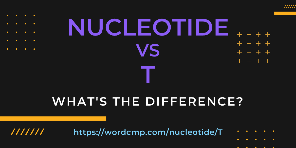 Difference between nucleotide and T