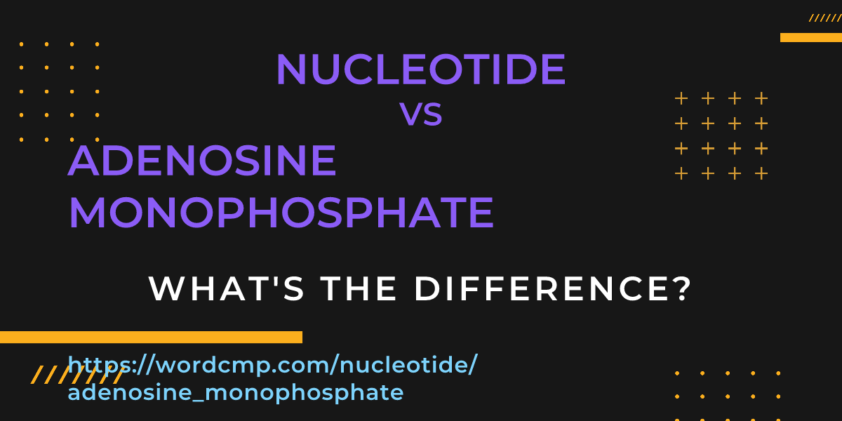 Difference between nucleotide and adenosine monophosphate