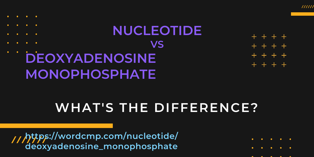 Difference between nucleotide and deoxyadenosine monophosphate