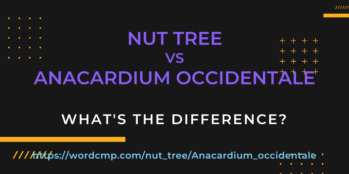Difference between nut tree and Anacardium occidentale
