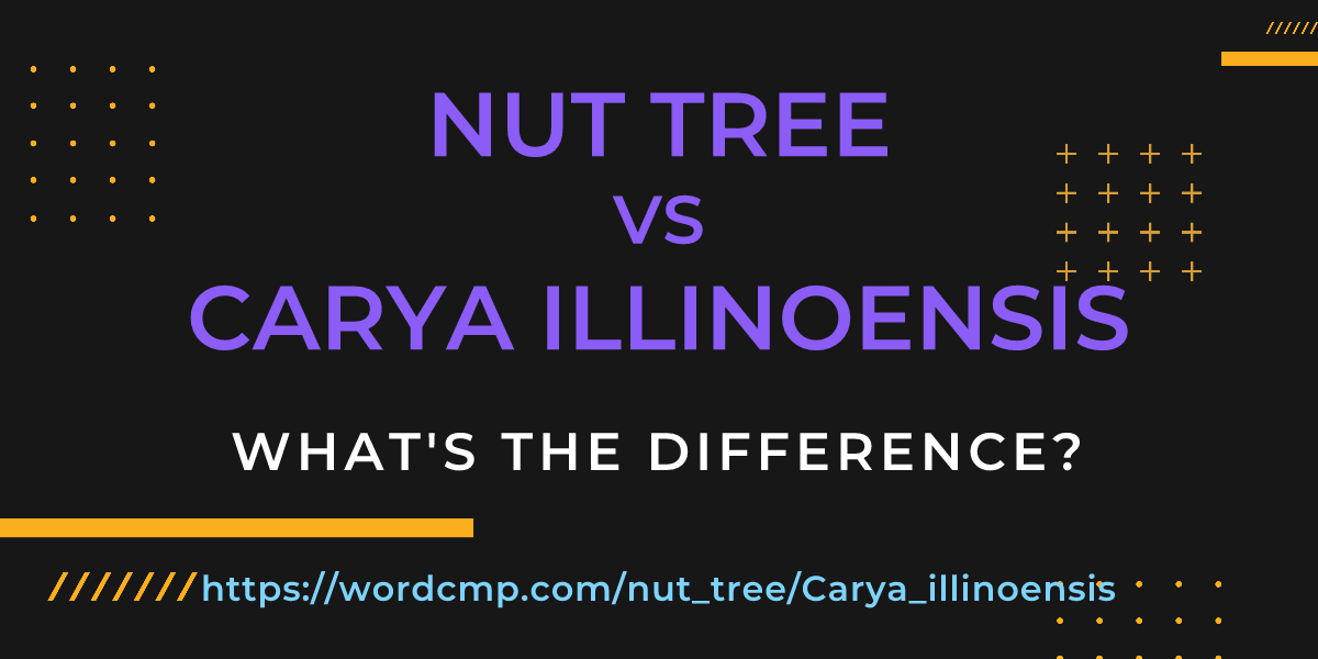 Difference between nut tree and Carya illinoensis