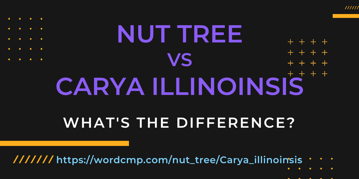 Difference between nut tree and Carya illinoinsis