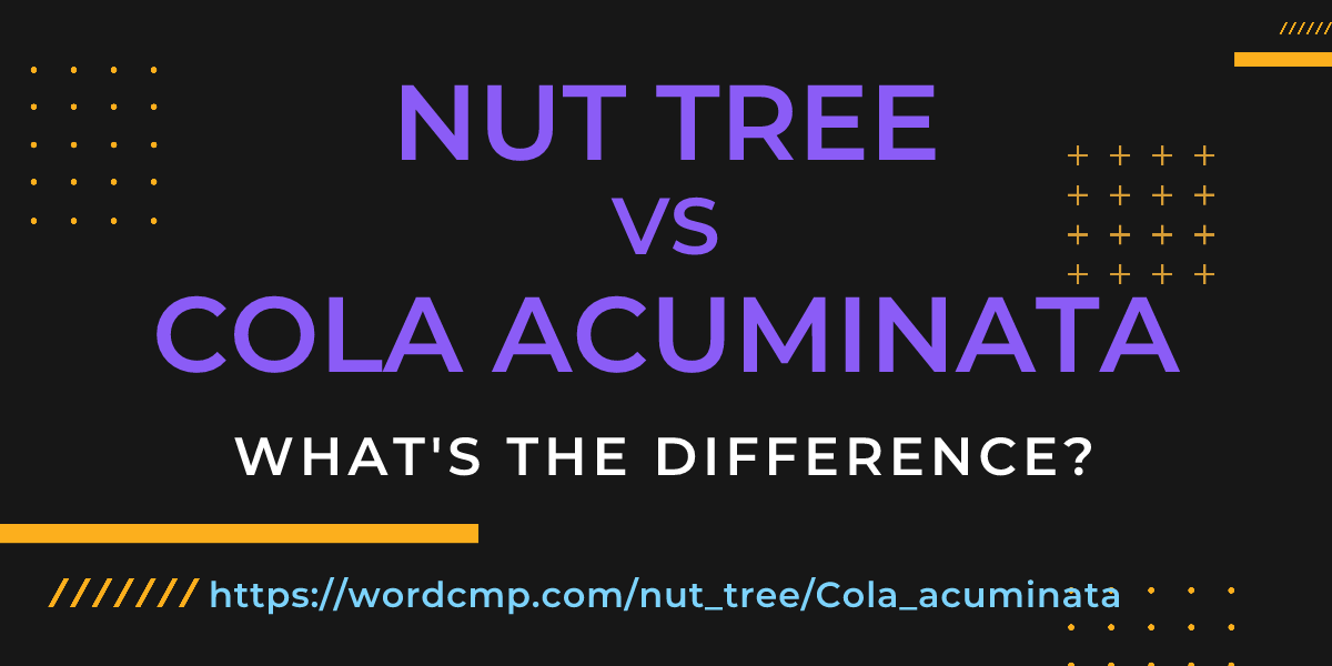 Difference between nut tree and Cola acuminata