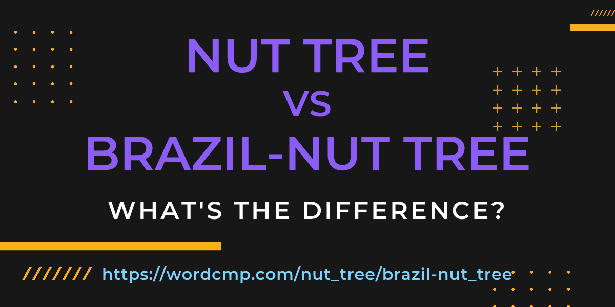 Difference between nut tree and brazil-nut tree