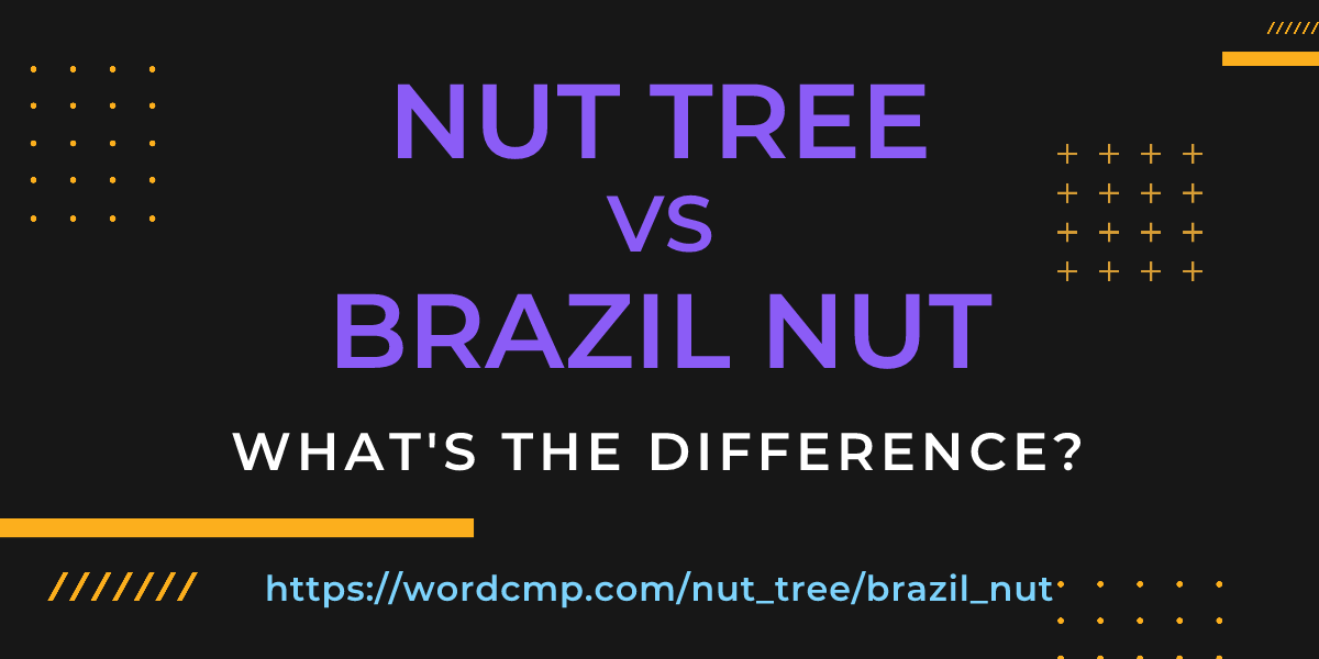 Difference between nut tree and brazil nut