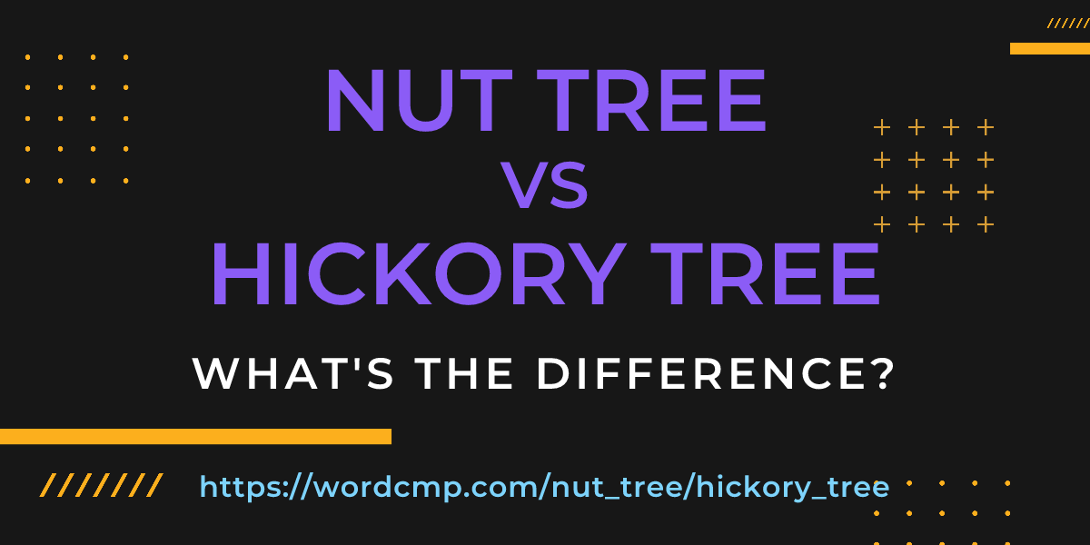 Difference between nut tree and hickory tree