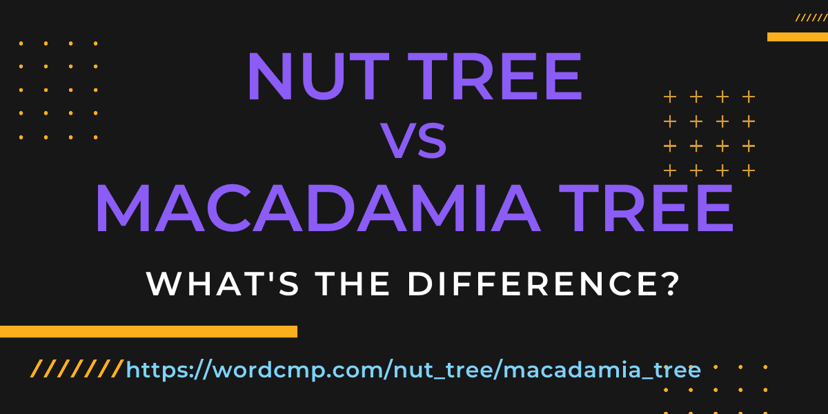 Difference between nut tree and macadamia tree