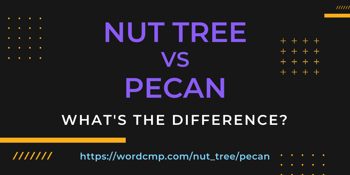 Difference between nut tree and pecan
