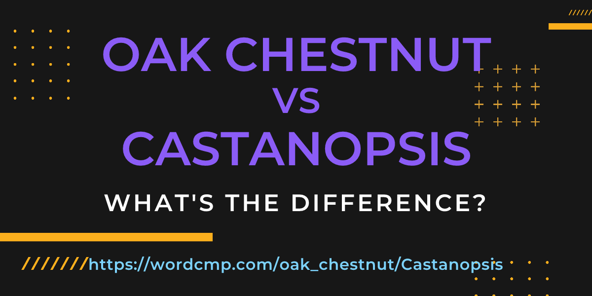 Difference between oak chestnut and Castanopsis