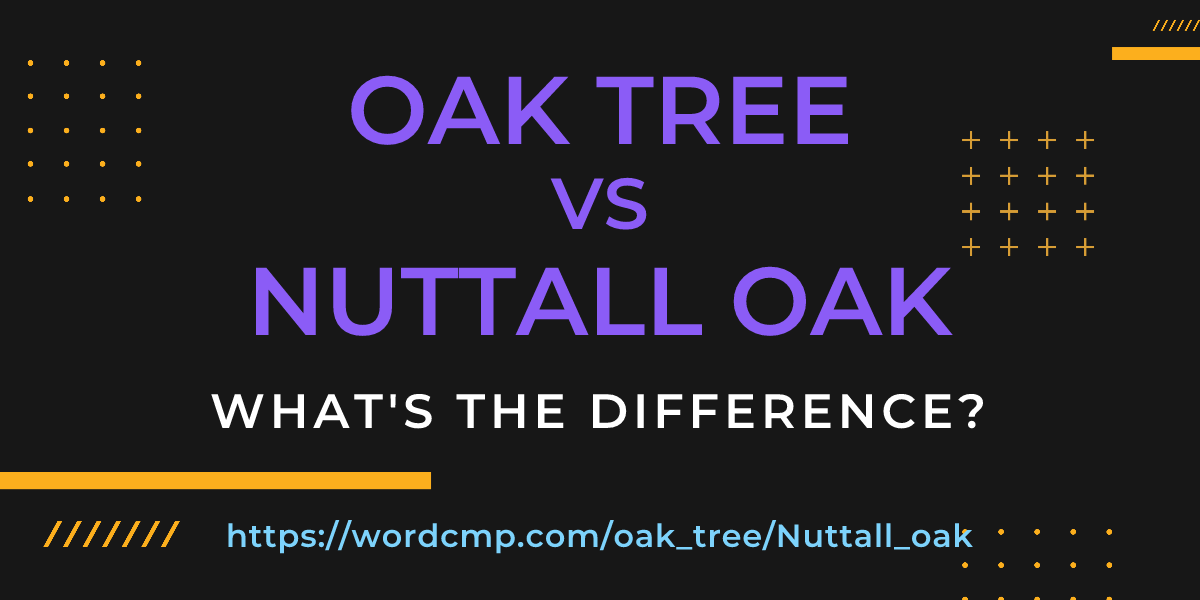 Difference between oak tree and Nuttall oak