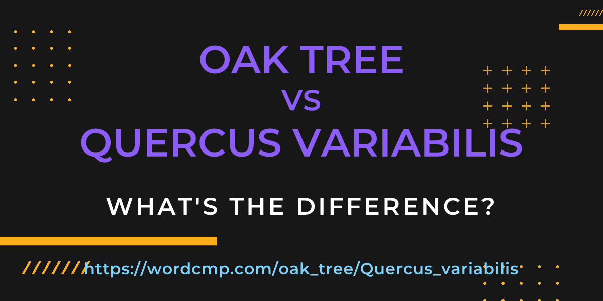 Difference between oak tree and Quercus variabilis