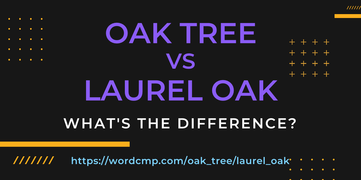 Difference between oak tree and laurel oak
