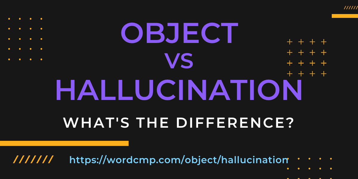 Difference between object and hallucination