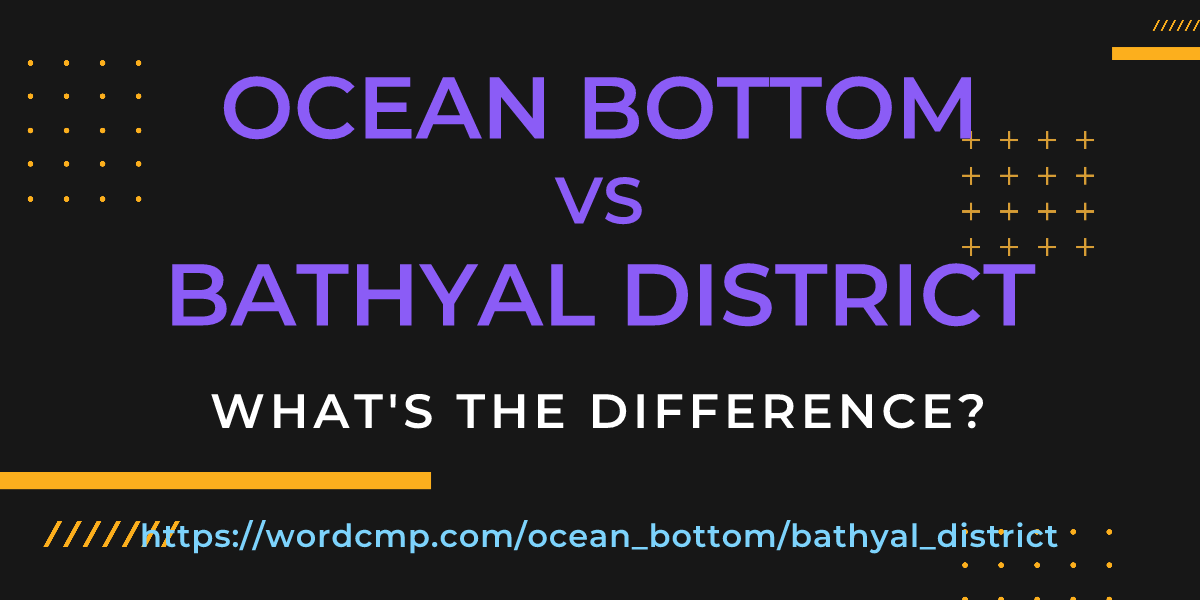 Difference between ocean bottom and bathyal district