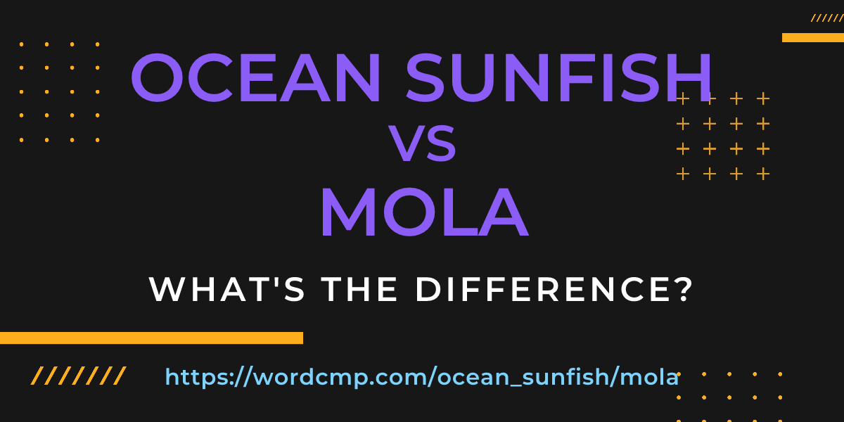 Difference between ocean sunfish and mola