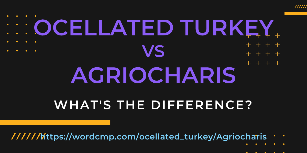 Difference between ocellated turkey and Agriocharis