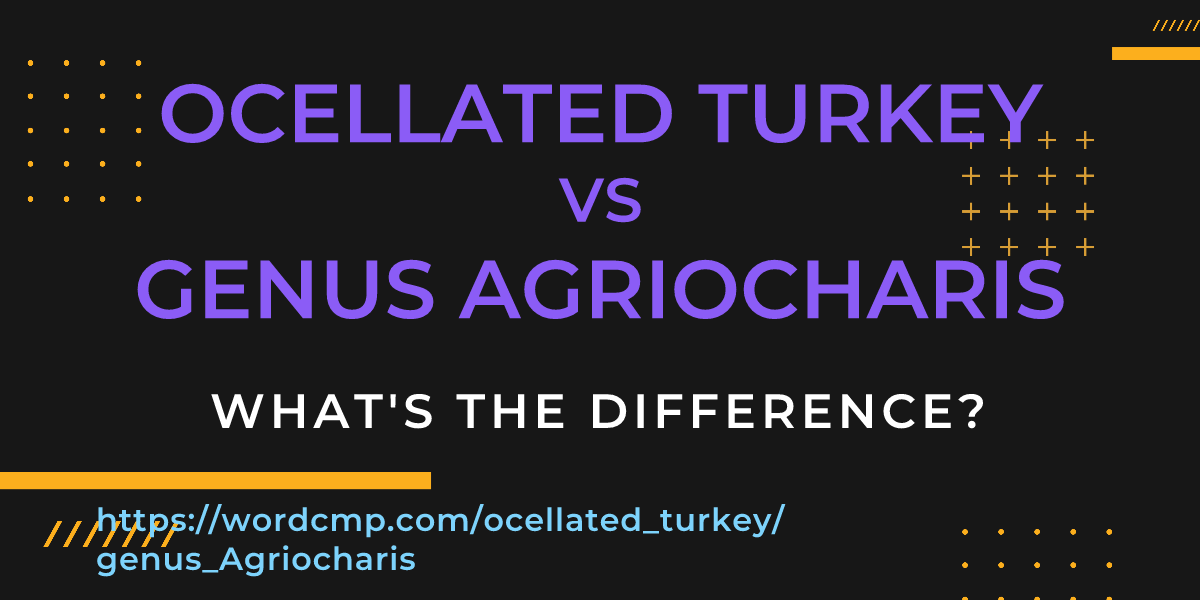 Difference between ocellated turkey and genus Agriocharis