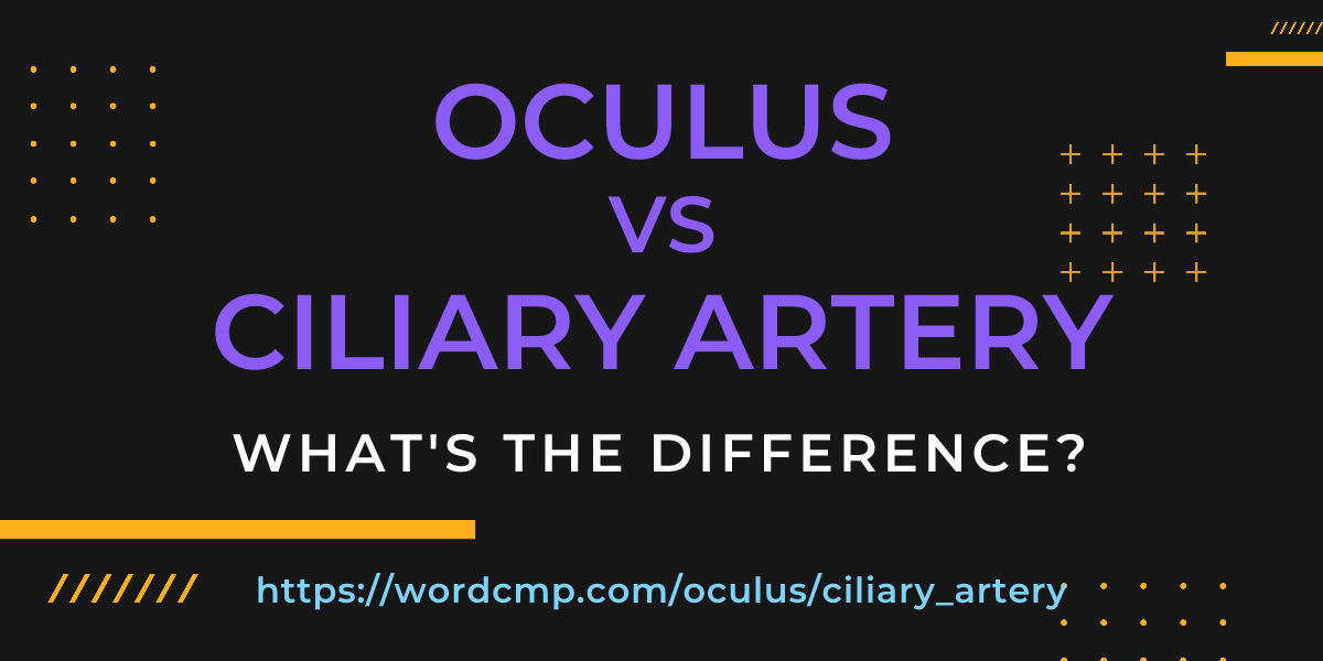 Difference between oculus and ciliary artery