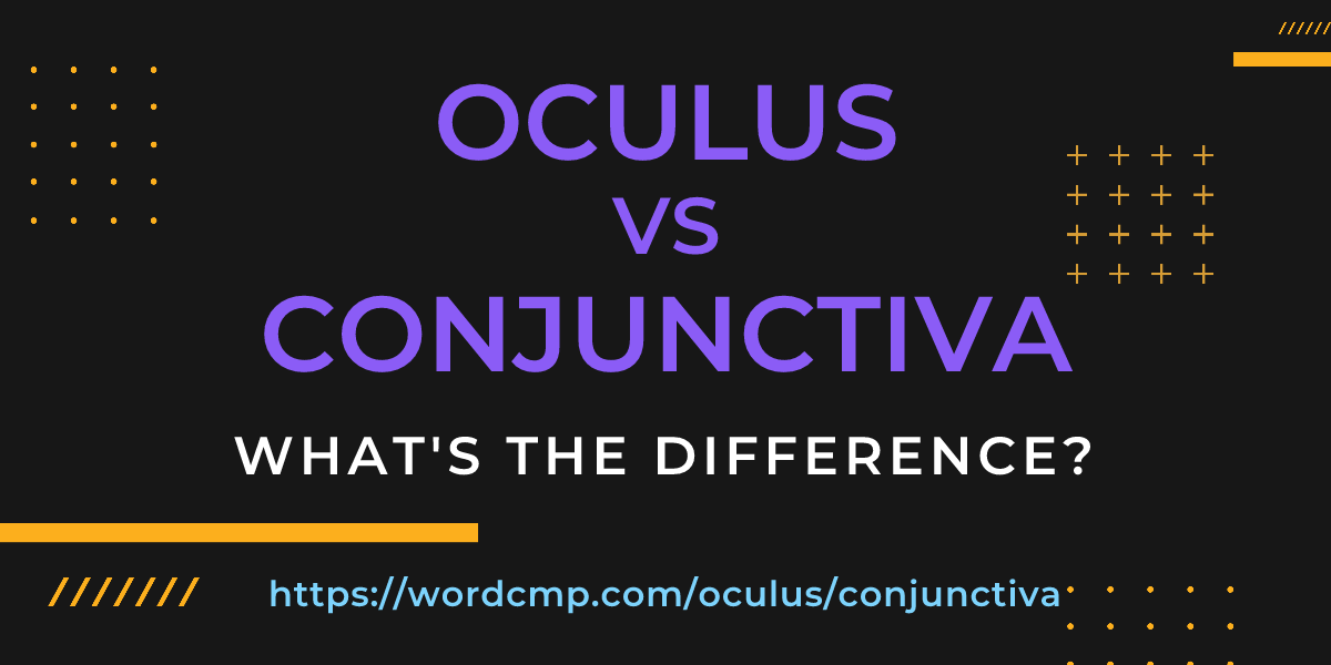 Difference between oculus and conjunctiva