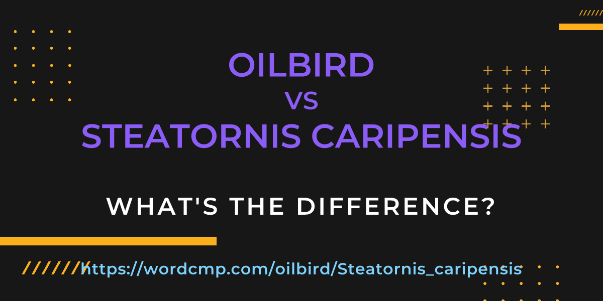 Difference between oilbird and Steatornis caripensis